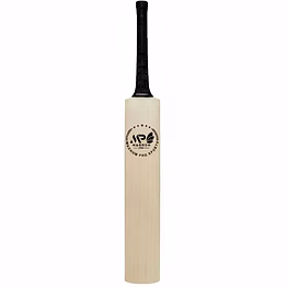 english willow cricket bat