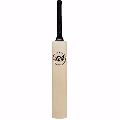 kashmir willow cricket bat