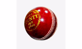 Read Leather Cricket Ball