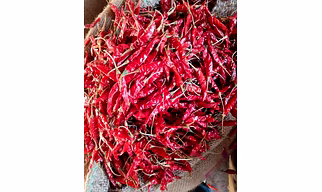 Red Chilly