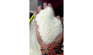 Rice