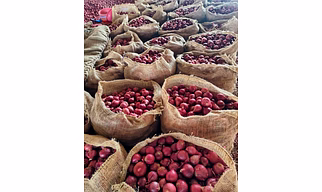 Red Onion