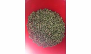 Cardamom