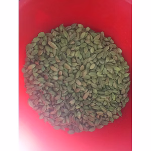 Cardamom