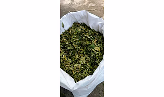 Dried Curry Leaves