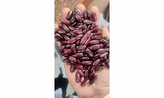 Red Kidney Beans