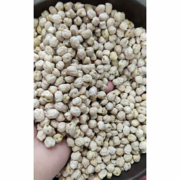 white chickpeas/kabuli chana/chole