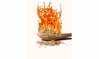 Cordyceps Mushroom