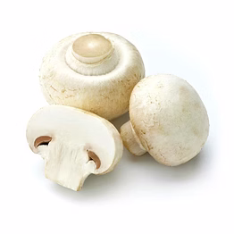 button mushroom fresh / processed button mushroom