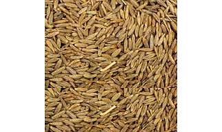 Cumin Seeds
