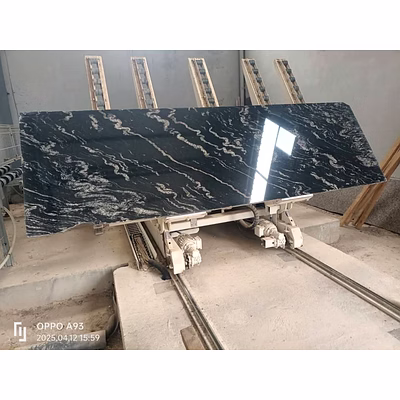 Forest Black Granite for Flooring, Cladding, and Surface Applications-3