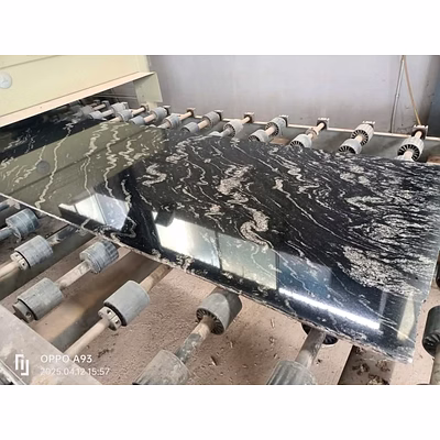Forest Black Granite for Flooring, Cladding, and Surface Applications-4