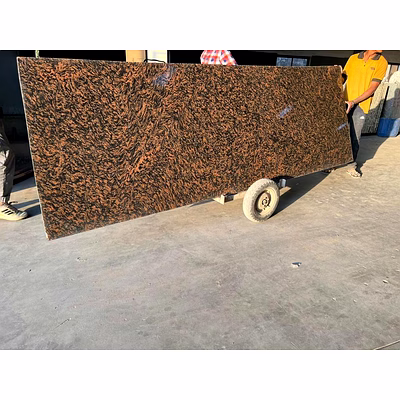 Tigerskin Granite for Flooring, Cladding, and Surface Applications-4