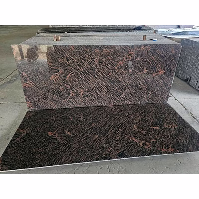 Tigerskin Granite for Flooring, Cladding, and Surface Applications-2
