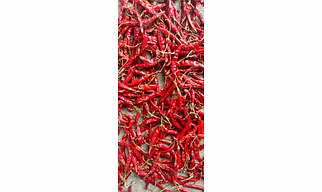 Red Chilli