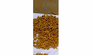 Turmeric