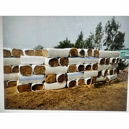 50 kg in bag packing wheat straw