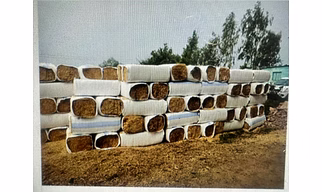 50 kg In Bag Packing Wheat Straw