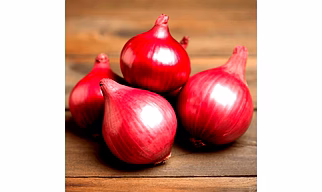 Premium Fresh Onions for Culinary Excellence - a product of PRAKRITIKBEEJ - a sign of purity