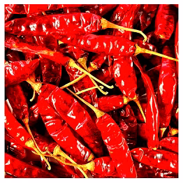 premium red chilli - enhance your dishes with intense flavor - a special spice from prakritikbeej - a sign of purity