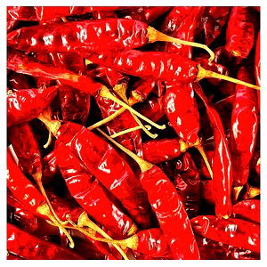 Premium Red Chilli - Enhance Your Dishes with Intense Flavor - a special spice from PRAKRITIKBEEJ - a sign of purity
