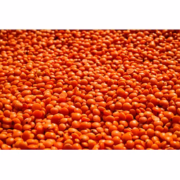 whole red lentils (masoor)