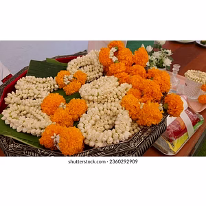 Fresh Rose Flowers from the Rose Capital of India