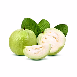 guava baruipur