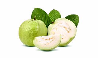 GUAVA BARUIPUR