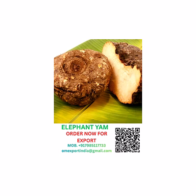 elephant yam
