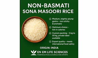 SONA MASOORI RICE