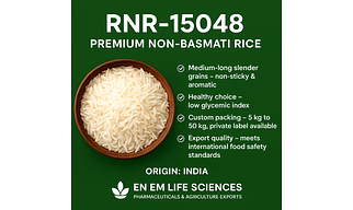 RNR RICE NON BASMATI RAICHUR POPULAR