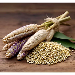jowar or sorghum millet