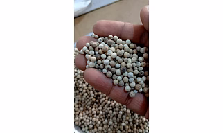 WHOLE WHITE PEPPER