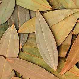 bay leaves a1 hsv