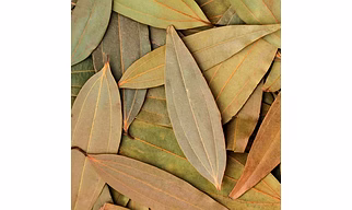 Bay Leaves A1 HSV