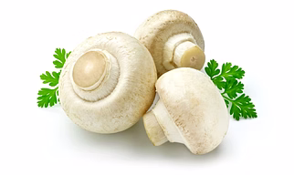 Organic Button Mushroom