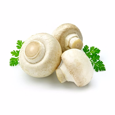 organic button mushroom