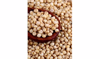 Jowar / Sorghum