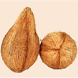 coconut