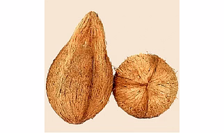 Coconut