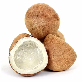 premium dry coconut a1 quality