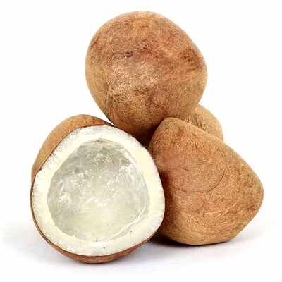 premium dry coconut a1 quality