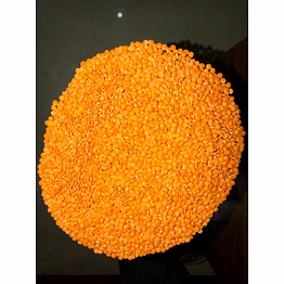 red lentils (football)
