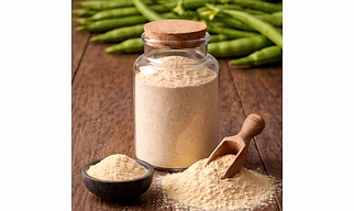 Guar Gum Powder Bulk Supplier for B2B | Natural Thickener & Stabilizer