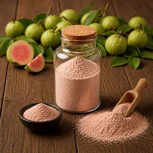 Guava Powder Bulk Supplier | Dehydrated Powder Ingredient for Food & Beverage
