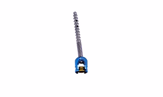 Fenestrated Polyaxial Screw ( Double Thread )