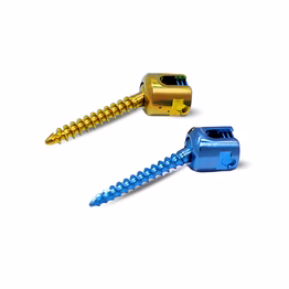 lateral mass screw