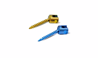 Lateral Mass Screw