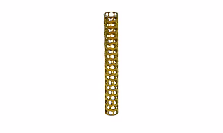 Eco Spinal Cage